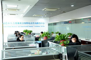 智慧人社，智慧服务 宿迁举办12333全国统一咨询日活动，打造暖心便民信息咨询服务