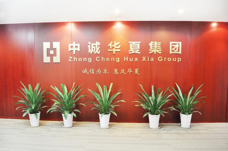 中诚华夏信息咨询集团